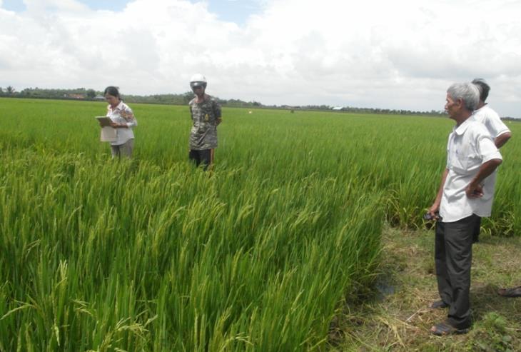 Sản phẩm nông nghiệp Bao giờ hết “bí” chuyện đầu ra?